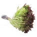 https://www.lottemart.vn/media/catalog/product/cache/75x75/8/9/8936231020154-2.jpg.webp