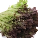 https://www.lottemart.vn/media/catalog/product/cache/75x75/8/9/8936231020154-3.jpg.webp