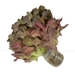 https://www.lottemart.vn/media/catalog/product/cache/75x75/8/9/8936235530130-2.jpg.webp