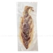 https://www.lottemart.vn/media/catalog/product/cache/75x75/8/9/8938509558536-2.jpg.webp