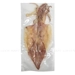 https://www.lottemart.vn/media/catalog/product/cache/75x75/8/9/8938509558543-2.jpg.webp