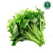 https://www.lottemart.vn/media/catalog/product/cache/75x75/8/9/8938525767172-1-1.jpg.webp