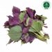 https://www.lottemart.vn/media/catalog/product/cache/75x75/8/9/8938525767295-1-1.jpg.webp