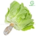 https://www.lottemart.vn/media/catalog/product/cache/75x75/8/9/8938544896051.jpg.webp