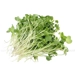 https://www.lottemart.vn/media/catalog/product/cache/75x75/8/9/8938561735029-2.jpg.webp