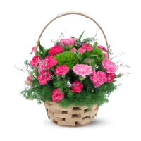 Cây cảnh, hoa tươi